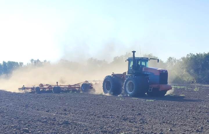 В Энгельсском районе завершили сев озимых